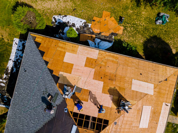 Best Local Roofing Companies  in Crest Hl, IL